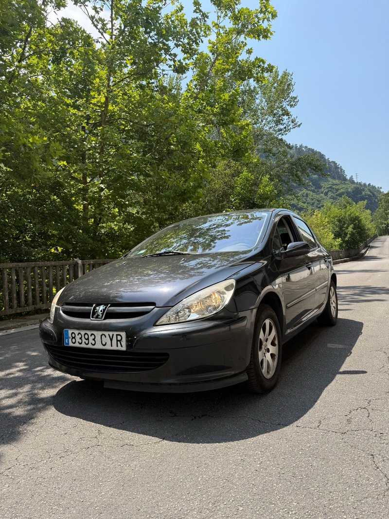 Peugeot 307 2004 - foto 1