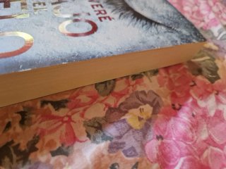 Libro: "Te Veré Bajo el Hielo" Robert Bryndza