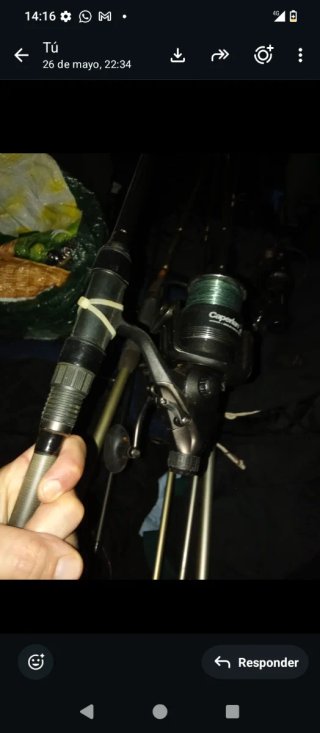 Cañas de pesca para carpfishing