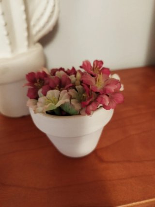 Decoración Cactus y Flores