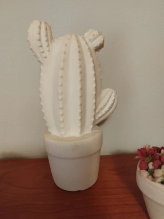Decoración Cactus y Flores