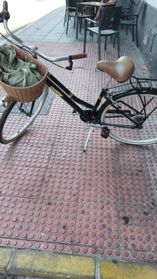 Bicicleta de mujer