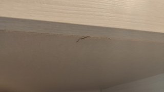Cama juvenil con armario y escritorio