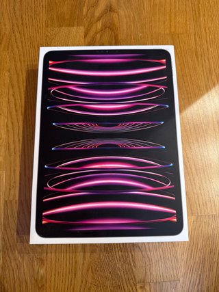 iPad Pro 11 128GB 2022 Poco Uso