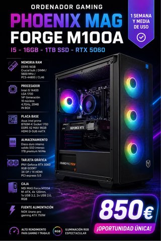 Ordenador Gaming Phoenix MAG Forge M100A