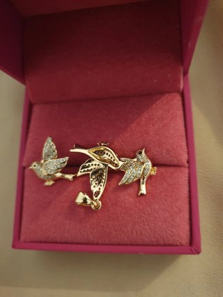 Conjunto Joyería Pájaros Chapado Oro