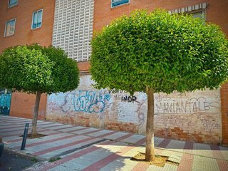 Local comercial en venta en Estación-Manantiales en Guadalajara