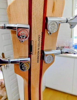 Bajo Spector Legend Standard Negro