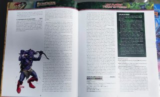 Juego Pathfinder. Las Flores Tenían Un Precio