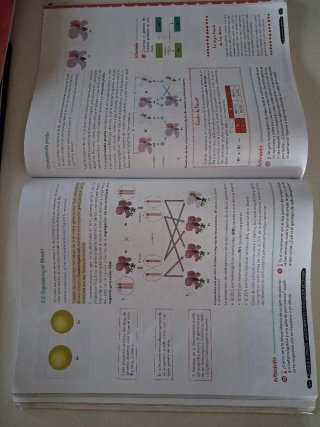 Biología y Geología, 4 ESO, Andalucía