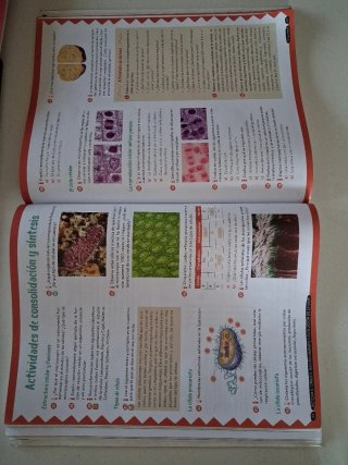 Biología y Geología, 4 ESO, Andalucía