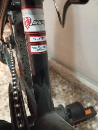 Bicicleta Junior Negra y Verde