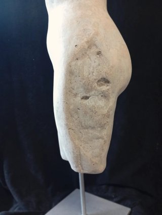 Venus romana