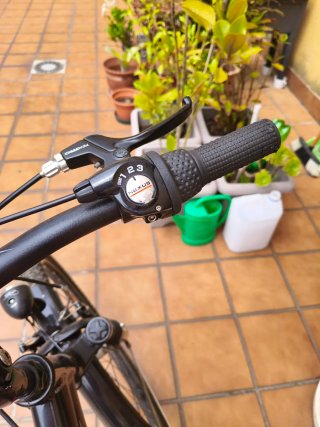 Bicicleta Trek Paseo