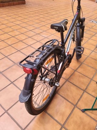 Bicicleta Trek Paseo