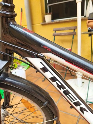 Bicicleta Trek Paseo