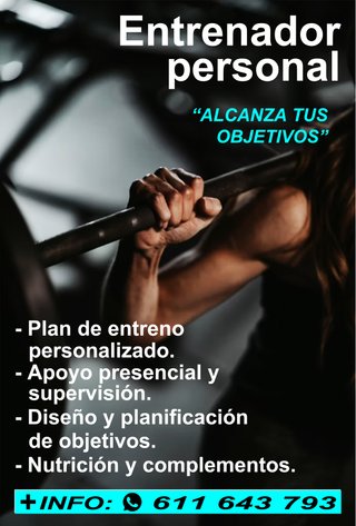 Entrenador personal. Fitness, mantenimiento.