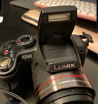 Cámara Panasonic Lumix FZ45 Negra