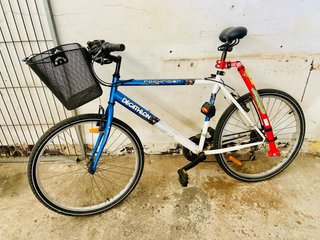 Bicicleta montaña + silla bebé + Trail-Gator