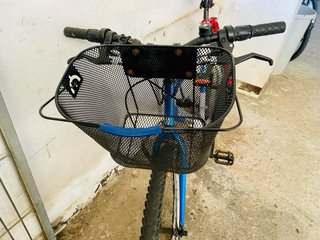 Bicicleta montaña + silla bebé + Trail-Gator