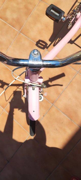 Bicicleta rosa vintage