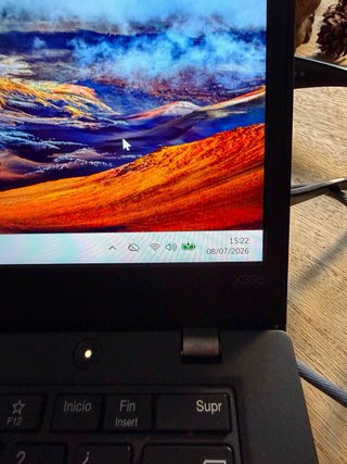 Portátil Lenovo X395 Negro