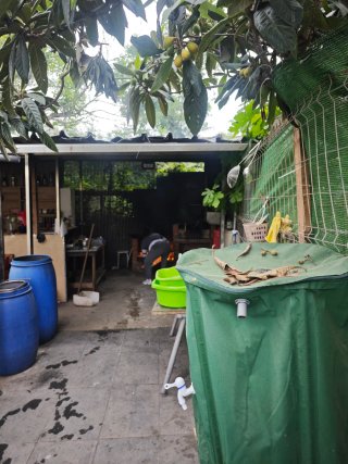 Huerto bien ubicado