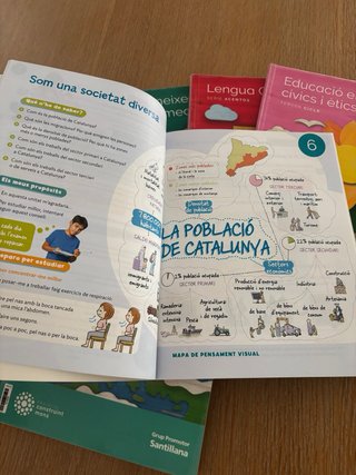 LENGUA CASTELLANA SERIE ACENTOS 5 PRIMARIA CONS...
