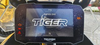 Triumph Tiger 900 Rally Pro Aragón