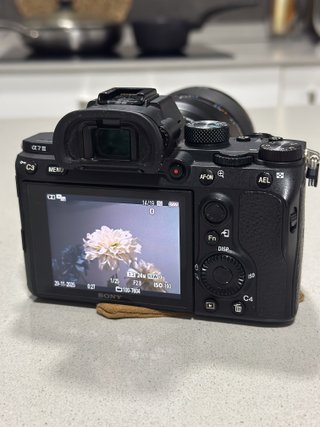 Cámara Sony A7 III+ Objetivo macro Sony 90mm f/2.8