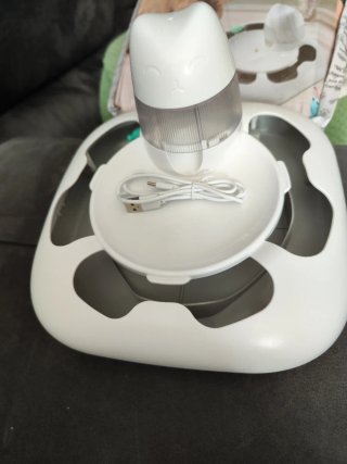 Máquina de juego automática para gatos