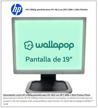 Pantalla HP L1950g 19 1280x1024