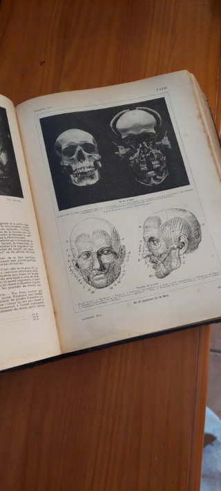 Libro clásico de medicina Larousse Medical ilustre