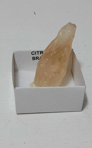 Citrino