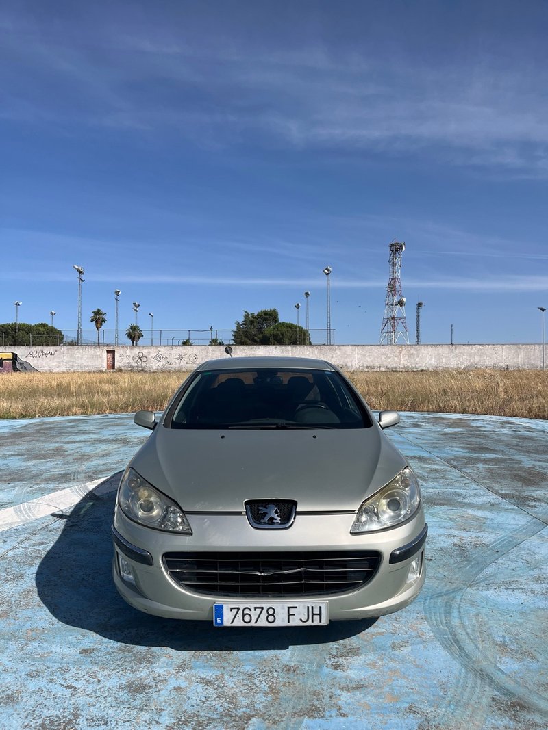 Peugeot 407 2007 - foto 1