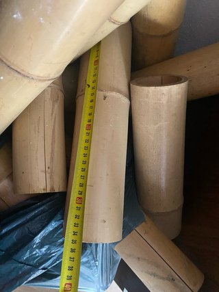 Cañas de bambú naturales