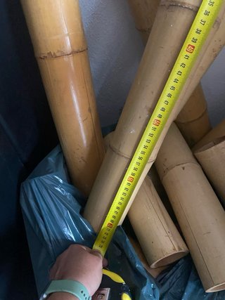 Cañas de bambú naturales