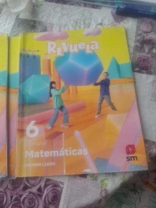 Matemáticas 6o de primaria
