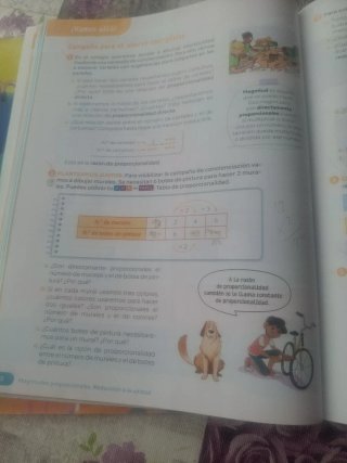 Matemáticas 6o de primaria