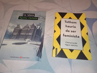 Tothom hauria de ser feminista