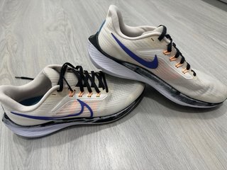 Nike Pegasus 39 Zapatillas Running Mujer