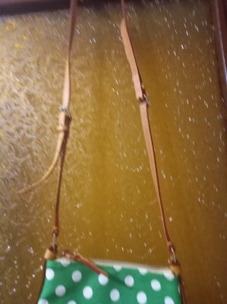 Cartera Dooney & Bourke Verde Lunares