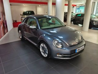 Volkswagen Beetle 2014