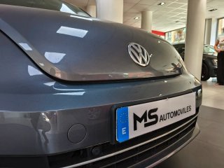 Volkswagen Beetle 2014