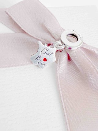 Charm Pandora C'est la vie Francia