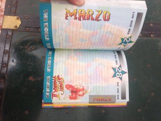 Street fighter Diario anni 1995. Raro e come nuovo