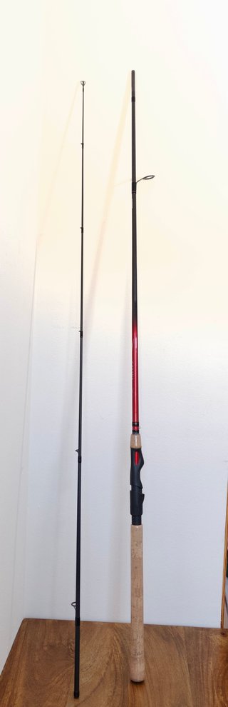 Caña Shimano Catana EX Spinning 20-50gr