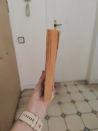 Libro Brida de Paulo coelho