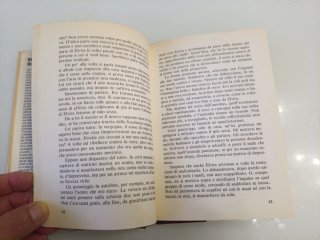 Buon Natale Buon Anno romanzo di P Festa Campanile