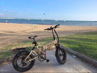 Bici MATE BIKE elettrica